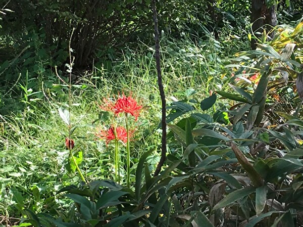 KJMIINRjVajdOap1569406288