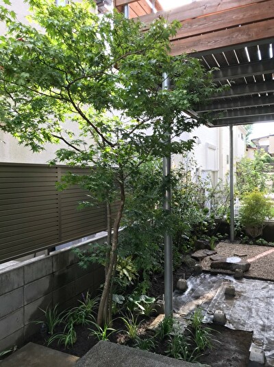 9月は造園現場が目白押し