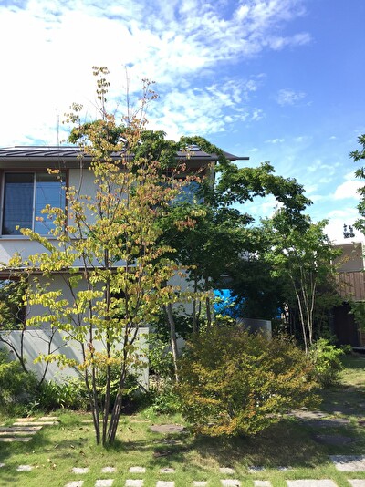 SE3ZcIrlGnGMCxk1569034401