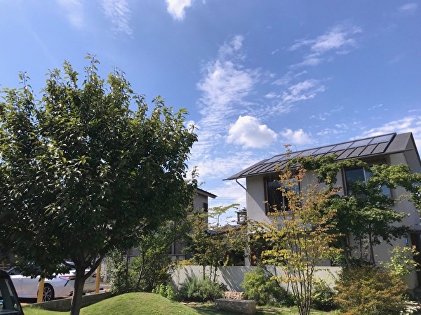 nbbXn2JbmzLQa5S1569034340