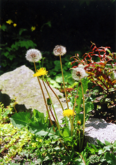 0BF2JVfGdV5V9ys1571366079