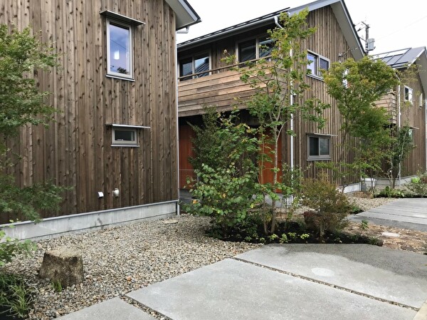 OfipW3BrGu2p6EE1569905002