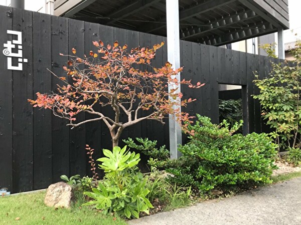 TF5f9nPh0D1mi641571559515