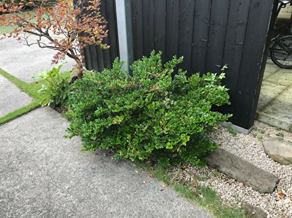 irqoQmWSEe4_7Pv1571559498