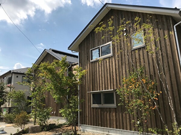 rnUi3CVjrpFuY5B1569904985