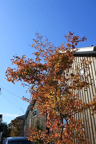 3q9HcfbwZpaS75A1574065205