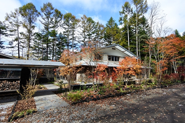 VimDJyabheLhTYp1571876929