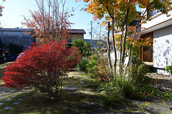 bAlscSfOji0Zzr91574065156