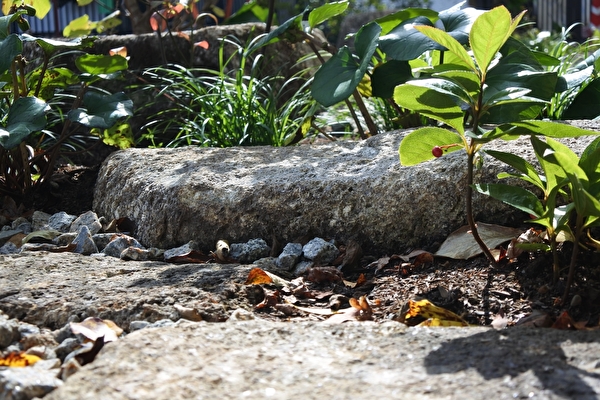 btz95cm5NMPv7xk1572748891