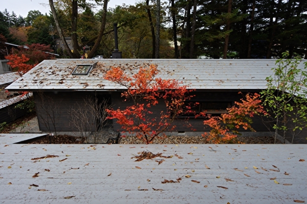 mJ2AeLkuI5kT8jm1571879788