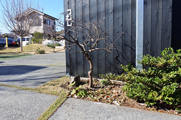 1owGbafTgUgcoAp1577177628