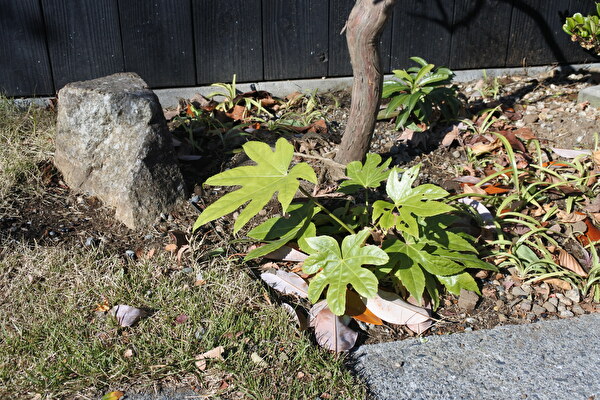 fvnX35VDjj5n43I1577177697