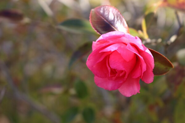 5r3Qb3jZk2T6Kh51578558339