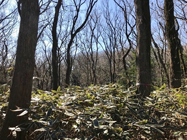 65rQNxw0GVNzfgQ1579682579