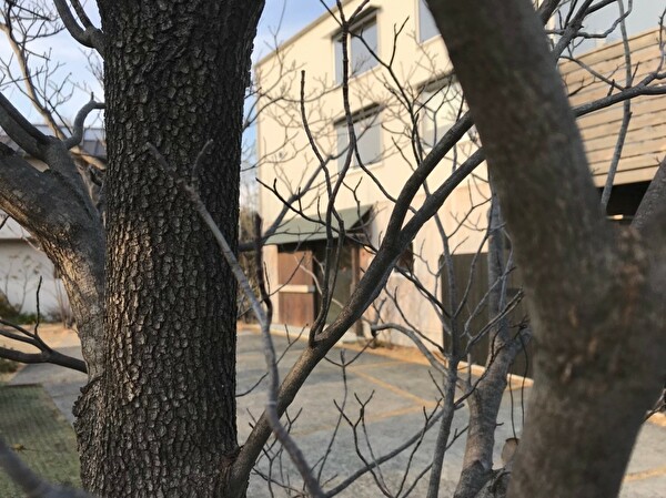 BVFqAnjCthKZTnb1578990626