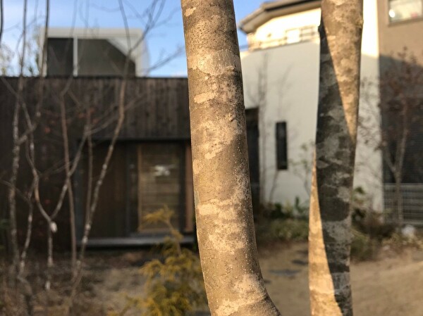 BdHSIFUTt6nh0bv1578990596