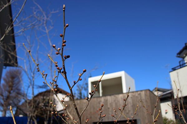 LKPgKfZNDZz253t1578558457