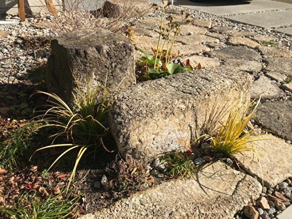 SFOWUPwm87pTBw11579682546