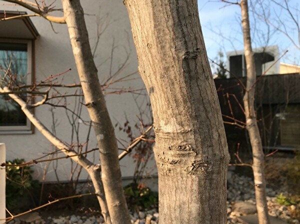 b6e0YLMVW3OwvKF1578990609