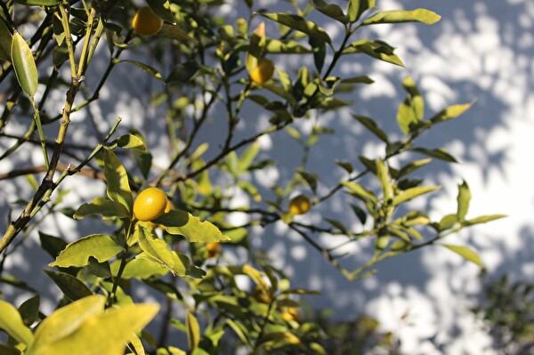 bQWLUB0wdfq58BC1578558480