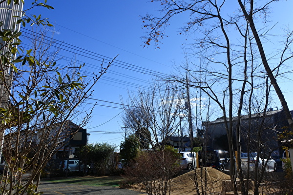 q4qP7tVEh1IpiMp1580462684