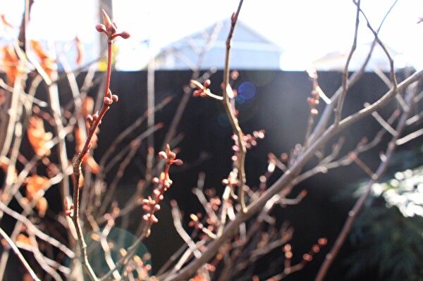 zwfTdaku5IrDVq21578558398