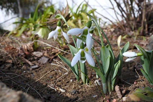 Hw3VnX4Fr5UuJpH1581662882