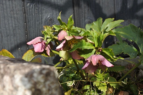 lNWxJpRdBiQg0Y91581662841