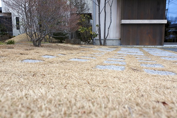 p0m7yEKauAMVBu61581664392