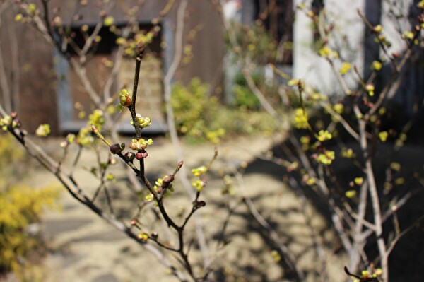 2zx05eQfvRHnViw1583972261