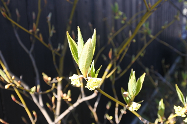 4zwUHukuqzR4BmV1584690905