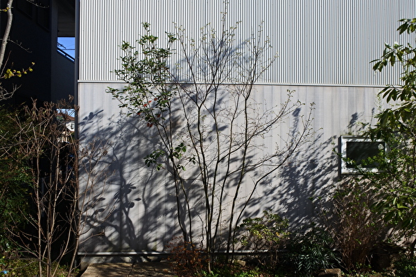 GgLv7eANfD7LB4A1584690947