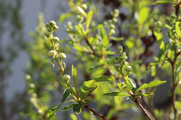 KgfruSzVBiU43sV1583972202