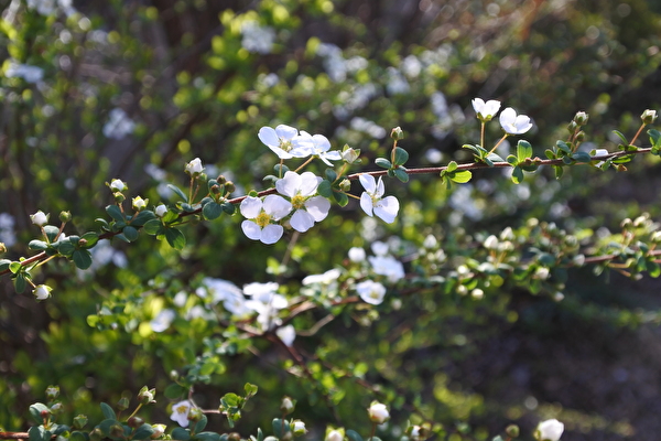 LA8s7Sk9cebgtws1584502440