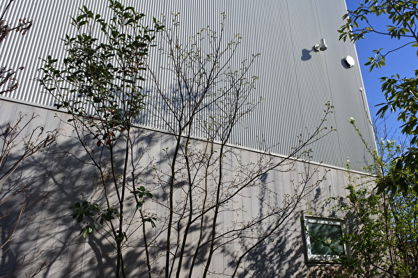 swUTD299gSpqJTl1584691075