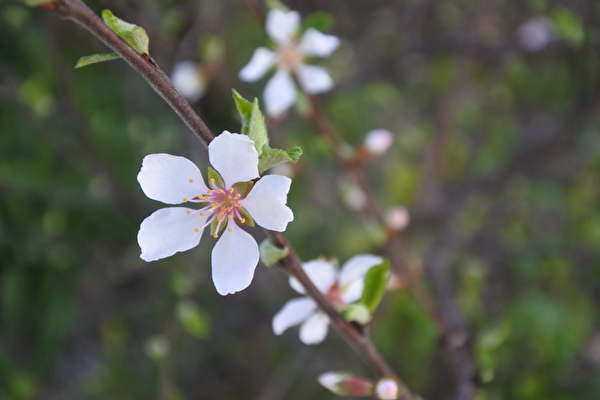 y5UXJ9h7CEkU84s1584690870