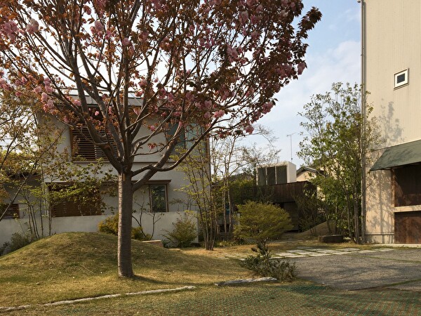 7BC9AORVaOpeZr01587019752