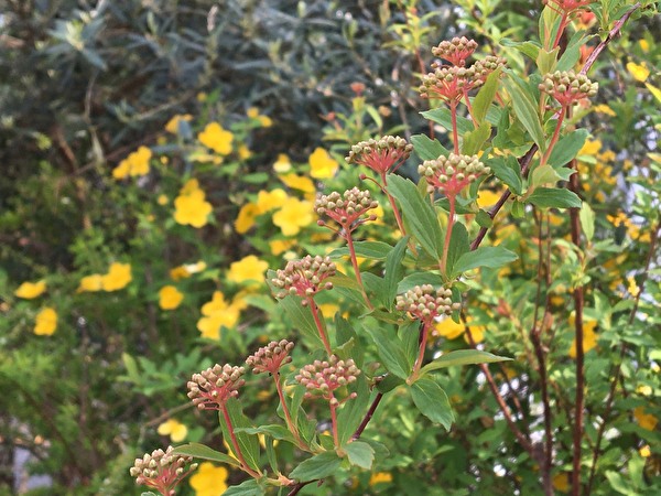 yg3OZrAEwTx3VVH1587019730