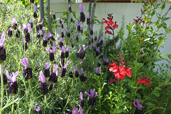 3NcubZGEmzyo4pw1589445059