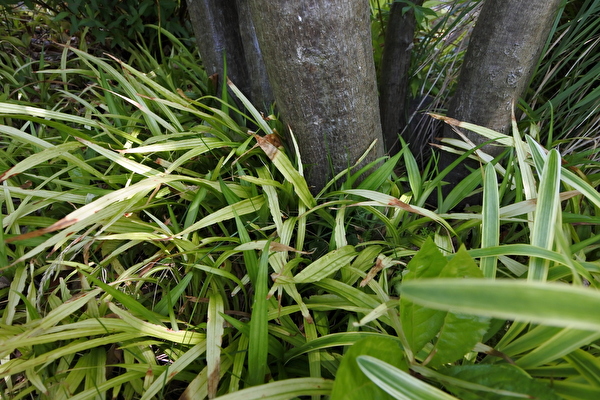 9WzSuTmyKwSJep61589697748