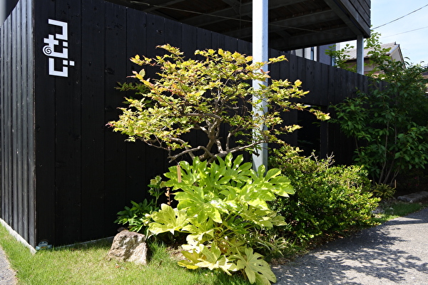 GtytwYbCNyBHpjt1589445103