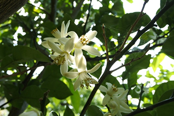 MV1NjbsABWJlSAt1589445000