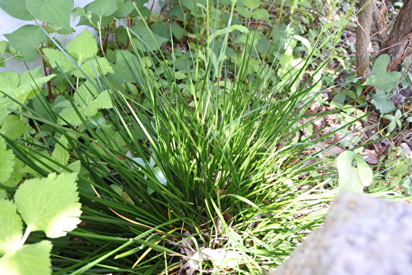 WI4VdW3bwflqpbE1589697420