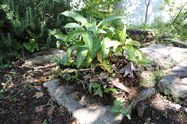 XHhjZmIU5J4O3yz1589697705