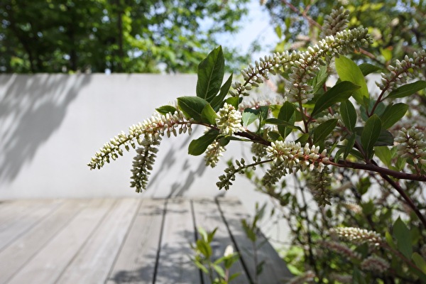 ZgmHkE9TqMu04ci1589445020