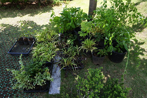 jUtSlKBIky508T31589697992