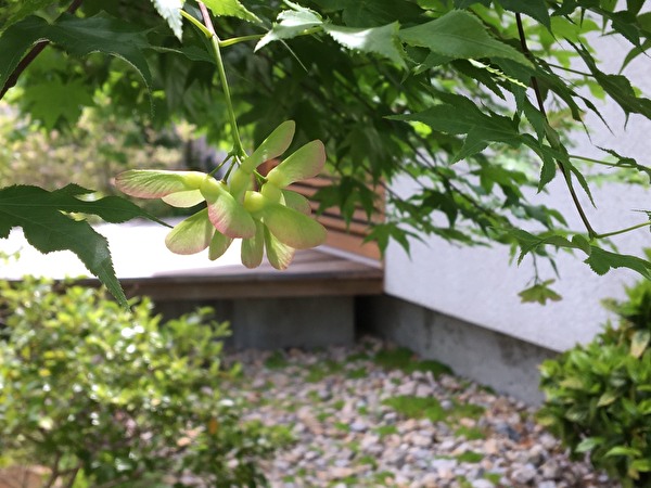 qxG7tsN34UZwxPb1589445161