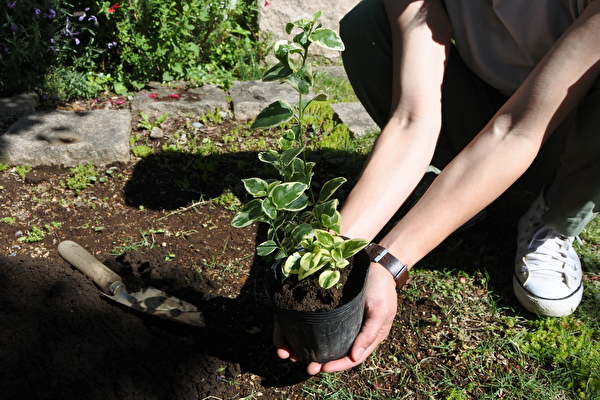 stKDIiayODez6cw1589697630