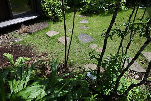 5JjVyoSibyMIXLF1592211840