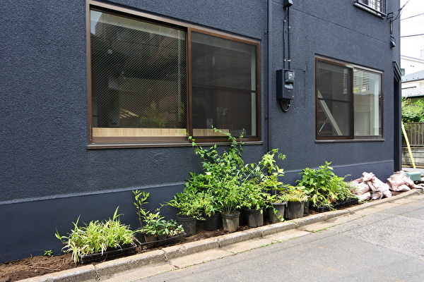 GjiGpZORhXeRSyZ1591487465